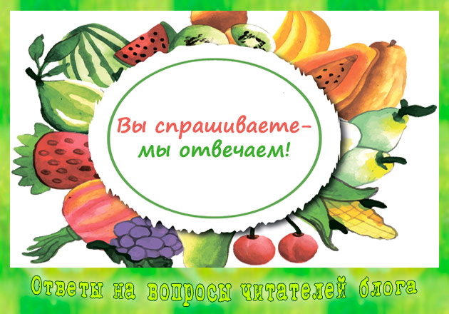 вопрос-ответ 1056