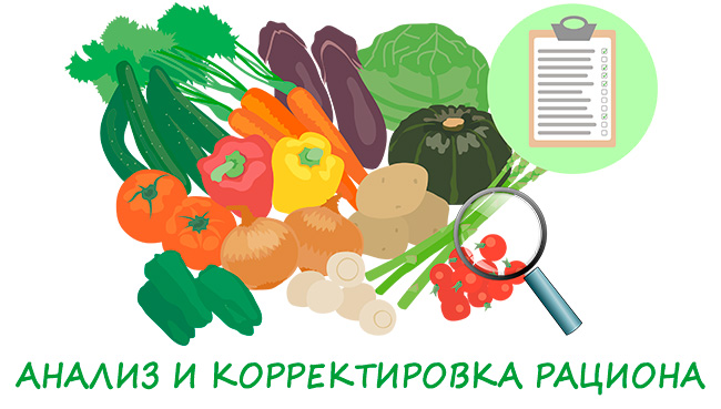 анализ рациона на ошибки